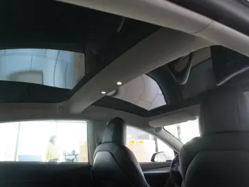 TESLA Model 3 LONGRANGE DUAL-MOTOR NAVI KAMERA PANO SH