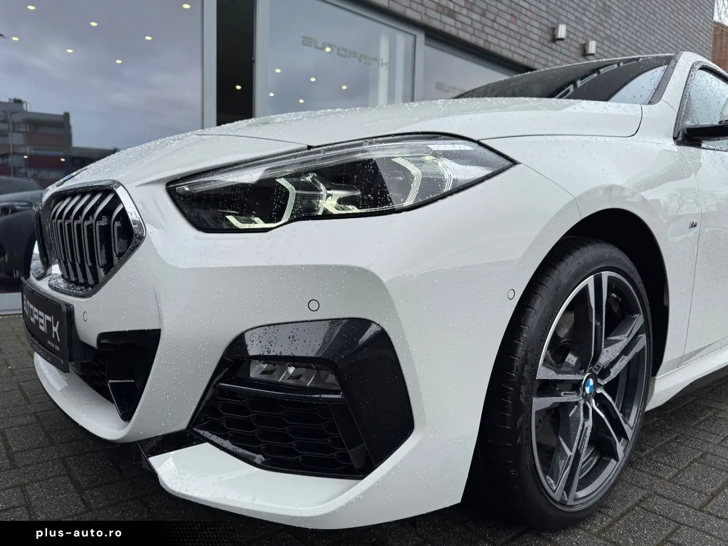 BMW 218i Gran Coupe M Sport DrivAss ACC RFK HiFi LHZ