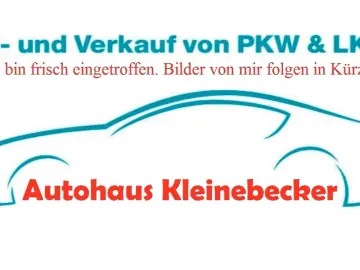 FORD Transit Kasten 350 L3 Trend 170PS AUT KAMERA AHK