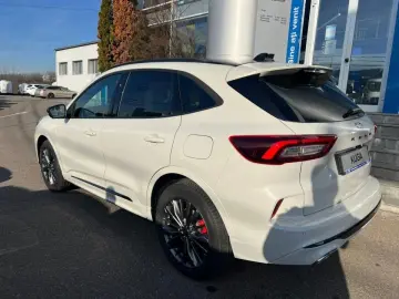 Ford Kuga MCA 5 usi Sound Edition 2.5l Duratec FHEV 183 CP A