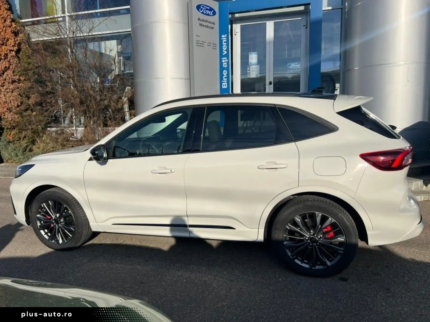 Ford Kuga MCA 5 usi Sound Edition 2.5l Duratec FHEV 183 CP A