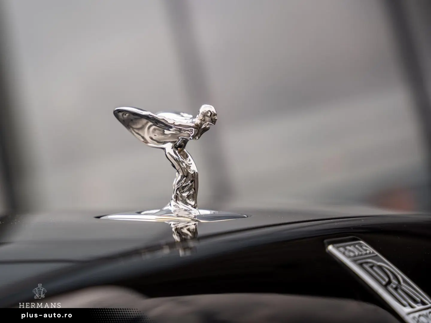 ROLLS ROYCE Spectre   Bespoke   PPF   Pinstripe   Starlight