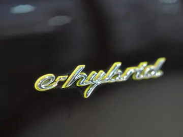 Porsche Cayenne E-Hybrid SPORT-CHRONO 14-