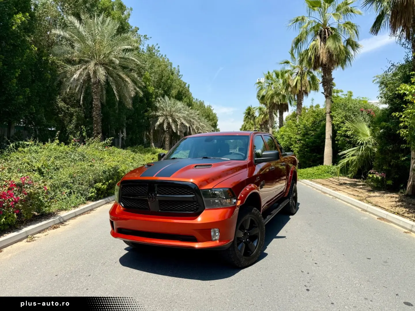 DODGE LPG V8 4X4 SPORT AHK ROLLBAR OFFROAD LIFT GARANT
