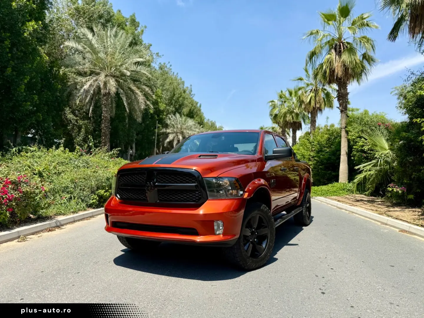 DODGE LPG V8 4X4 SPORT AHK ROLLBAR OFFROAD LIFT GARANT