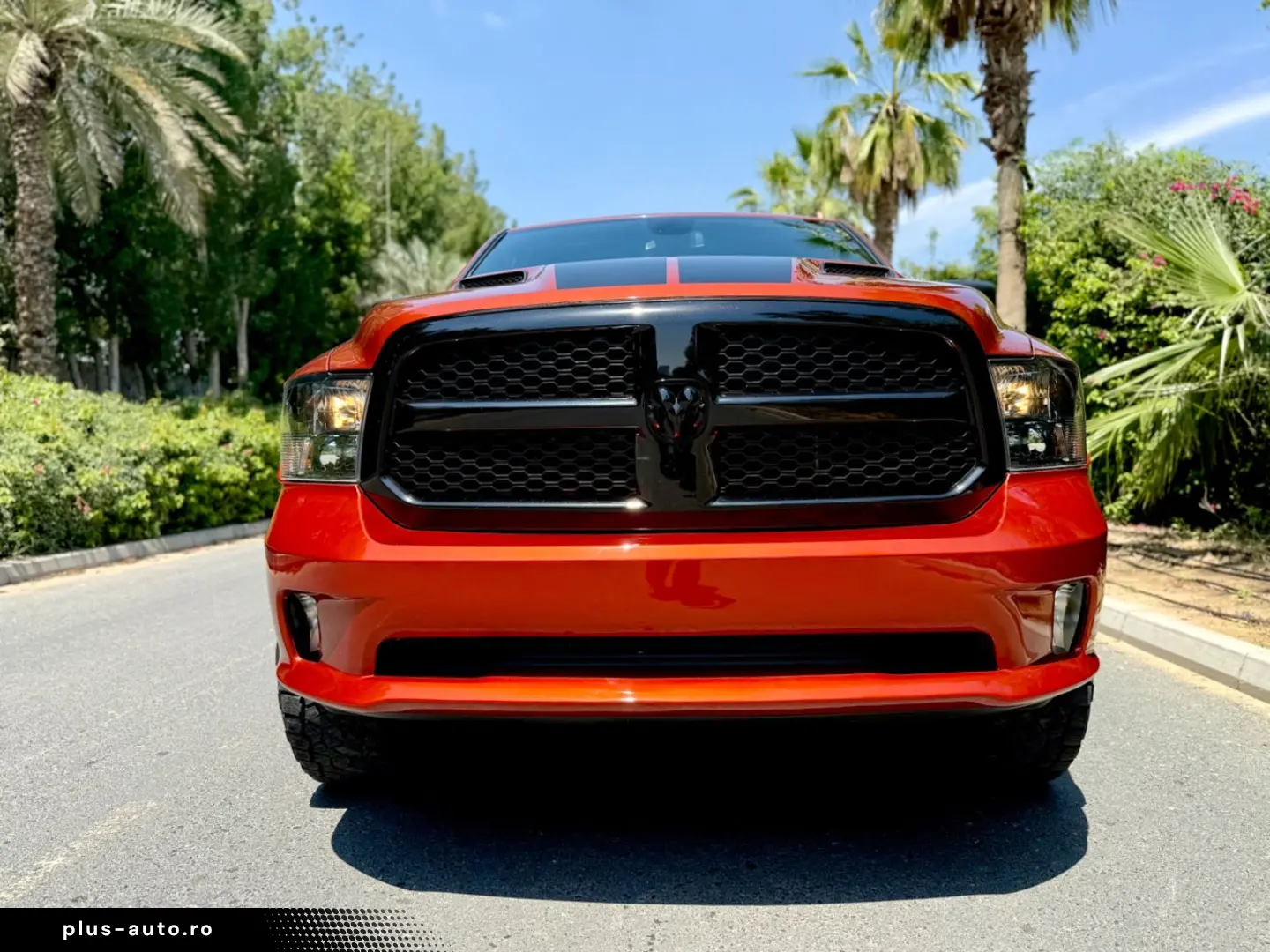 DODGE LPG V8 4X4 SPORT AHK ROLLBAR OFFROAD LIFT GARANT
