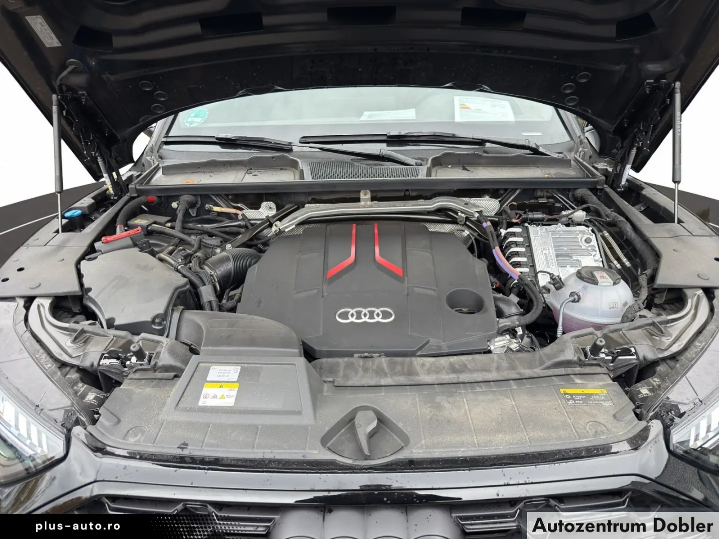 AUDI SQ5 TDI mit sport edition AHK ACC Pano StHz 21