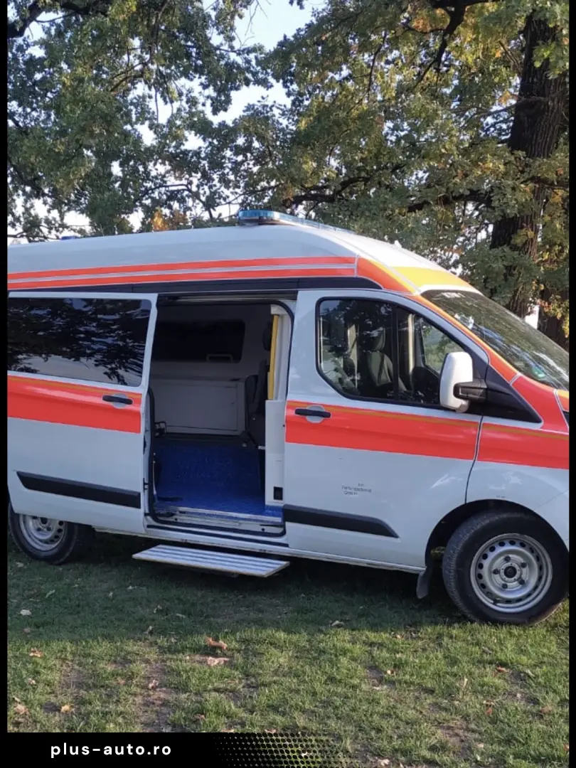 Ford Ford transit custom