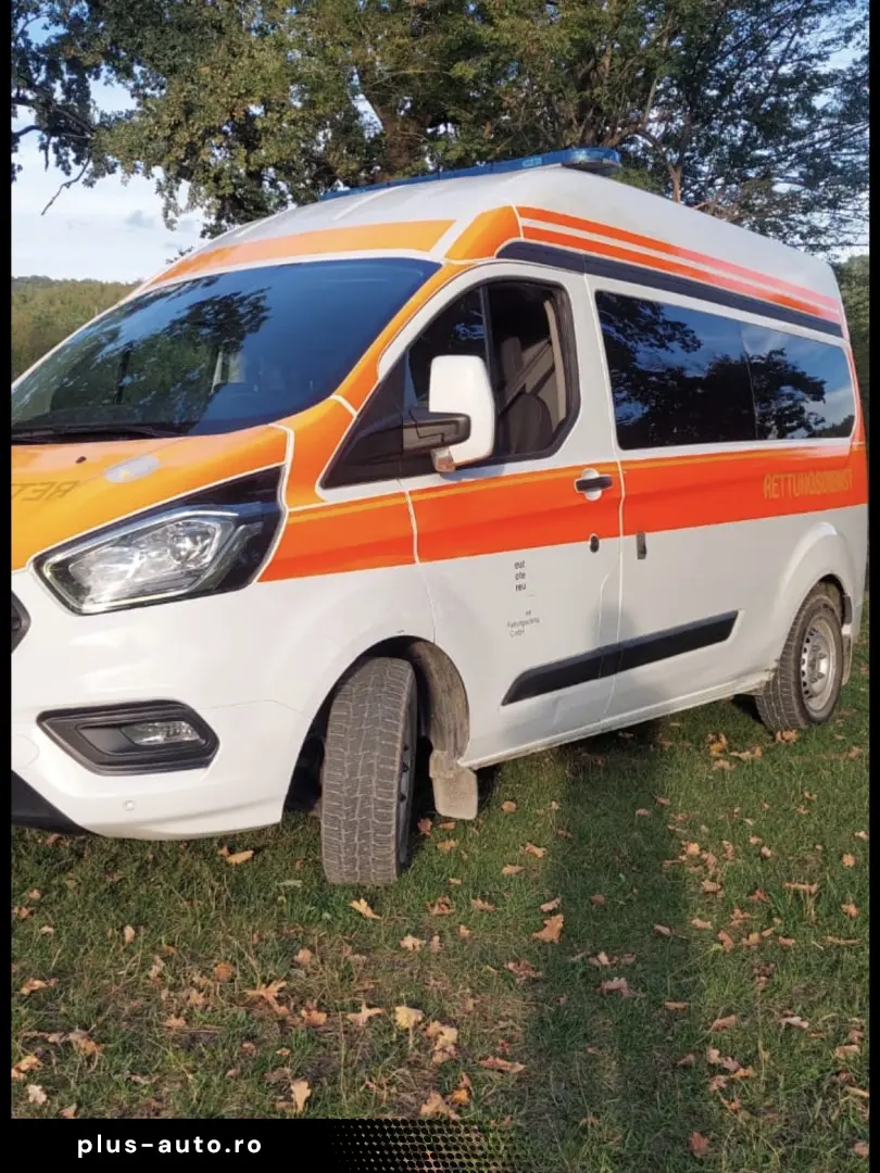 Ford Ford transit custom