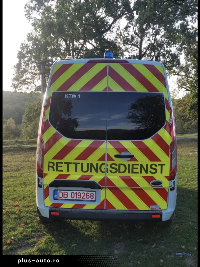 Ford Ford transit custom