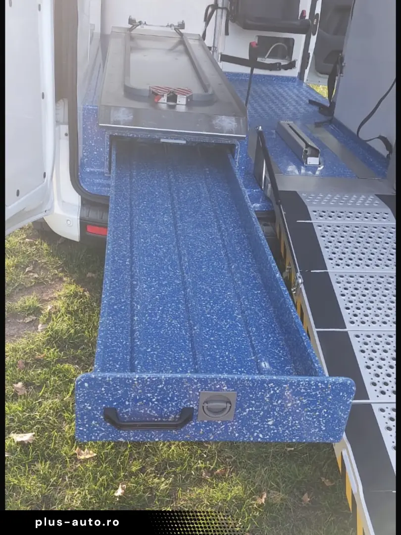 Ford Ford transit custom