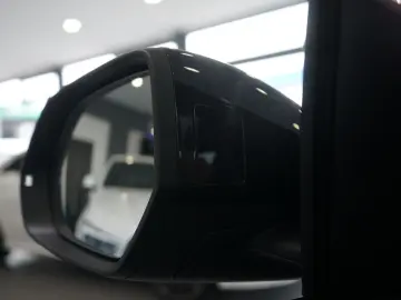 AUDI RSQ8 4.0 TFSI quattro PANO 360 KAMERA TOTWINKEL