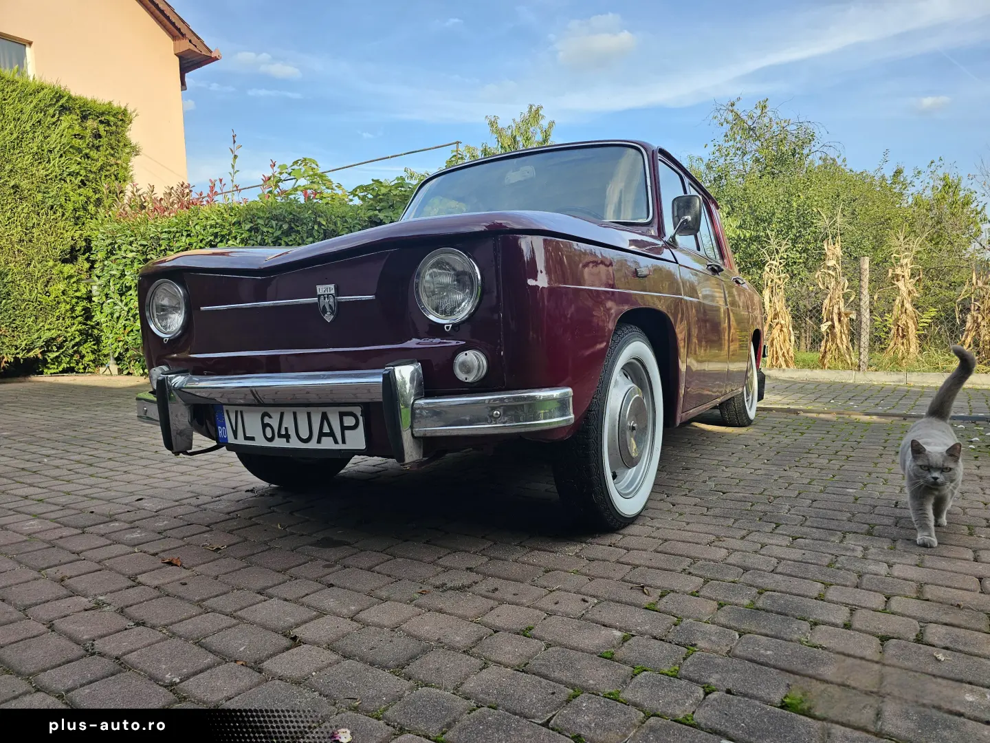 Dacia Altele