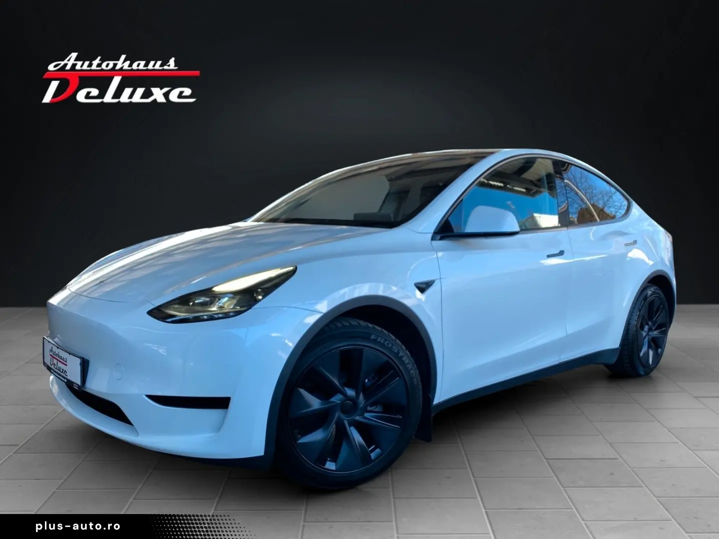 TESLA Model Y Basis RWD NAVI-360 KAMERA-PANORAMA-AHK