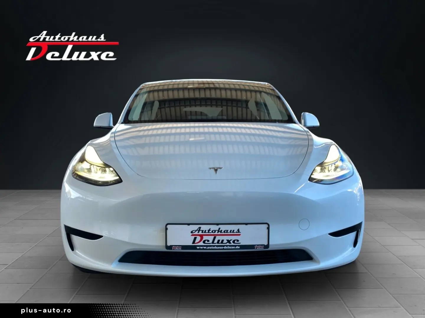 TESLA Model Y Basis RWD NAVI-360 KAMERA-PANORAMA-AHK