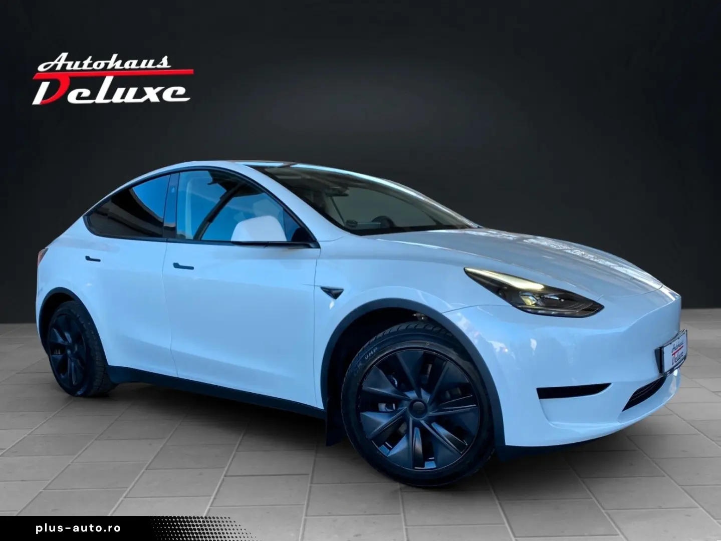 TESLA Model Y Basis RWD NAVI-360 KAMERA-PANORAMA-AHK