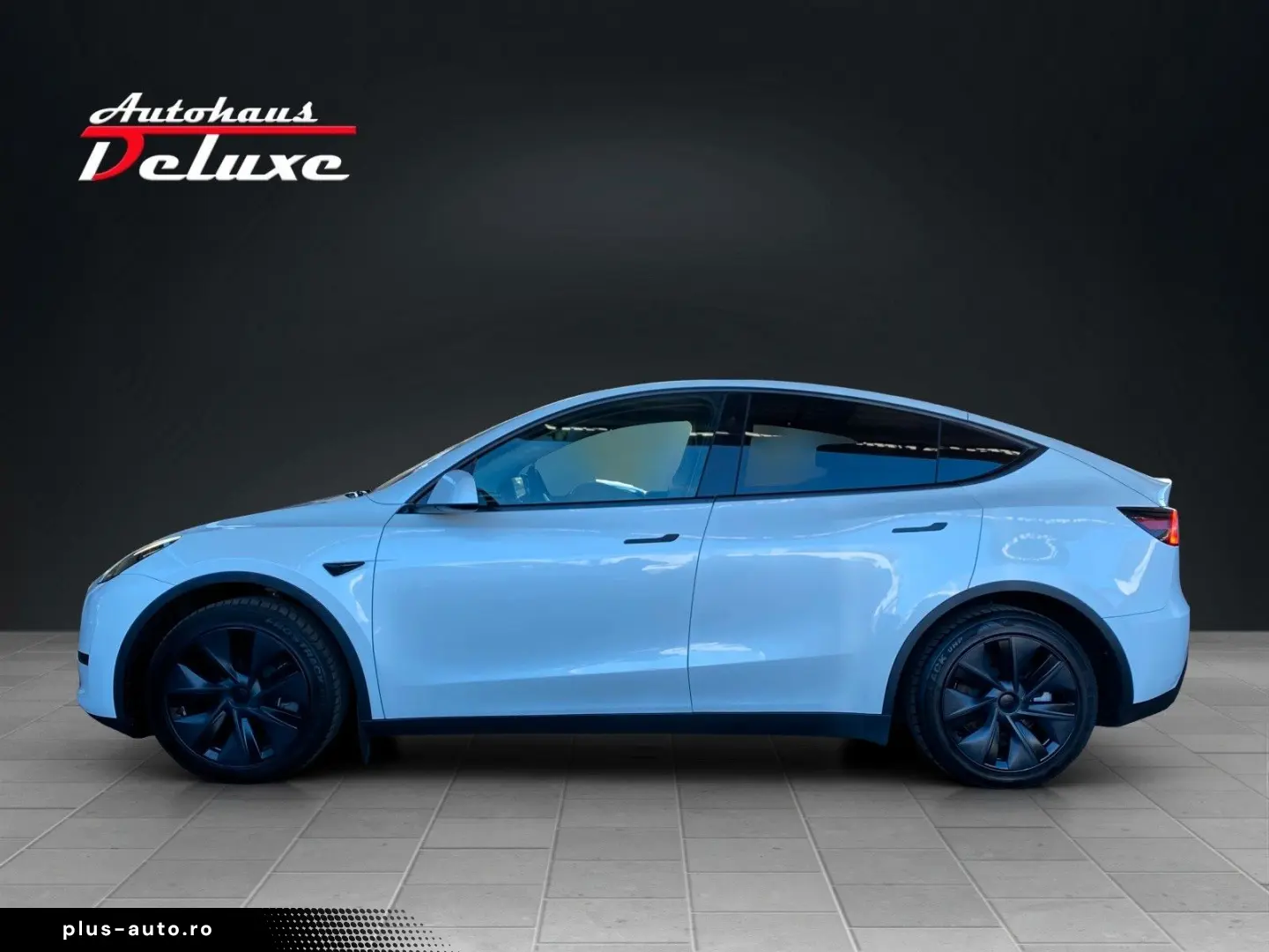 TESLA Model Y Basis RWD NAVI-360 KAMERA-PANORAMA-AHK