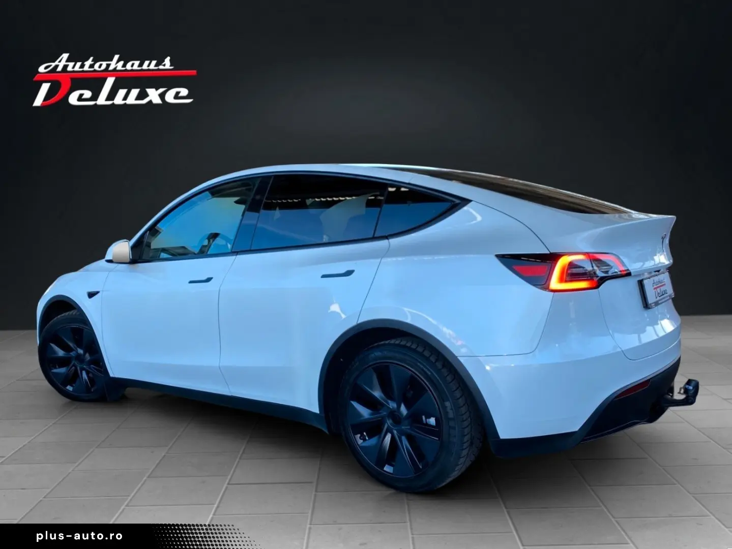 TESLA Model Y Basis RWD NAVI-360 KAMERA-PANORAMA-AHK