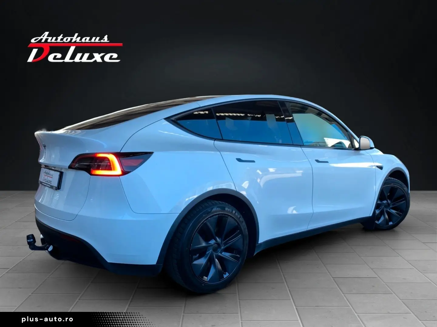 TESLA Model Y Basis RWD NAVI-360 KAMERA-PANORAMA-AHK