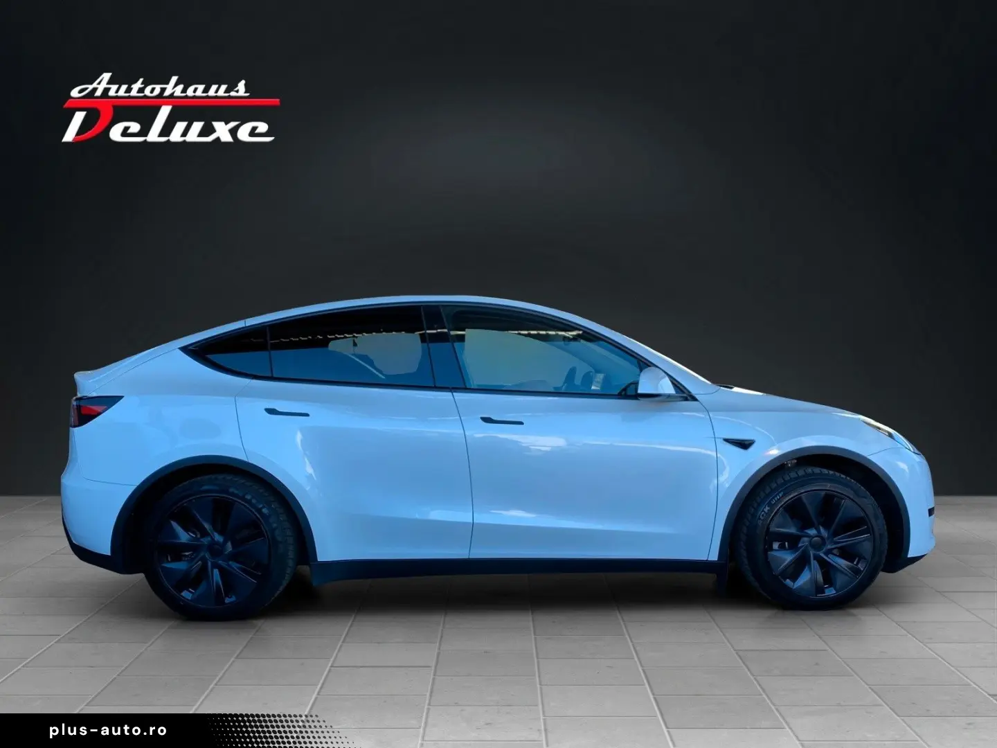 TESLA Model Y Basis RWD NAVI-360 KAMERA-PANORAMA-AHK