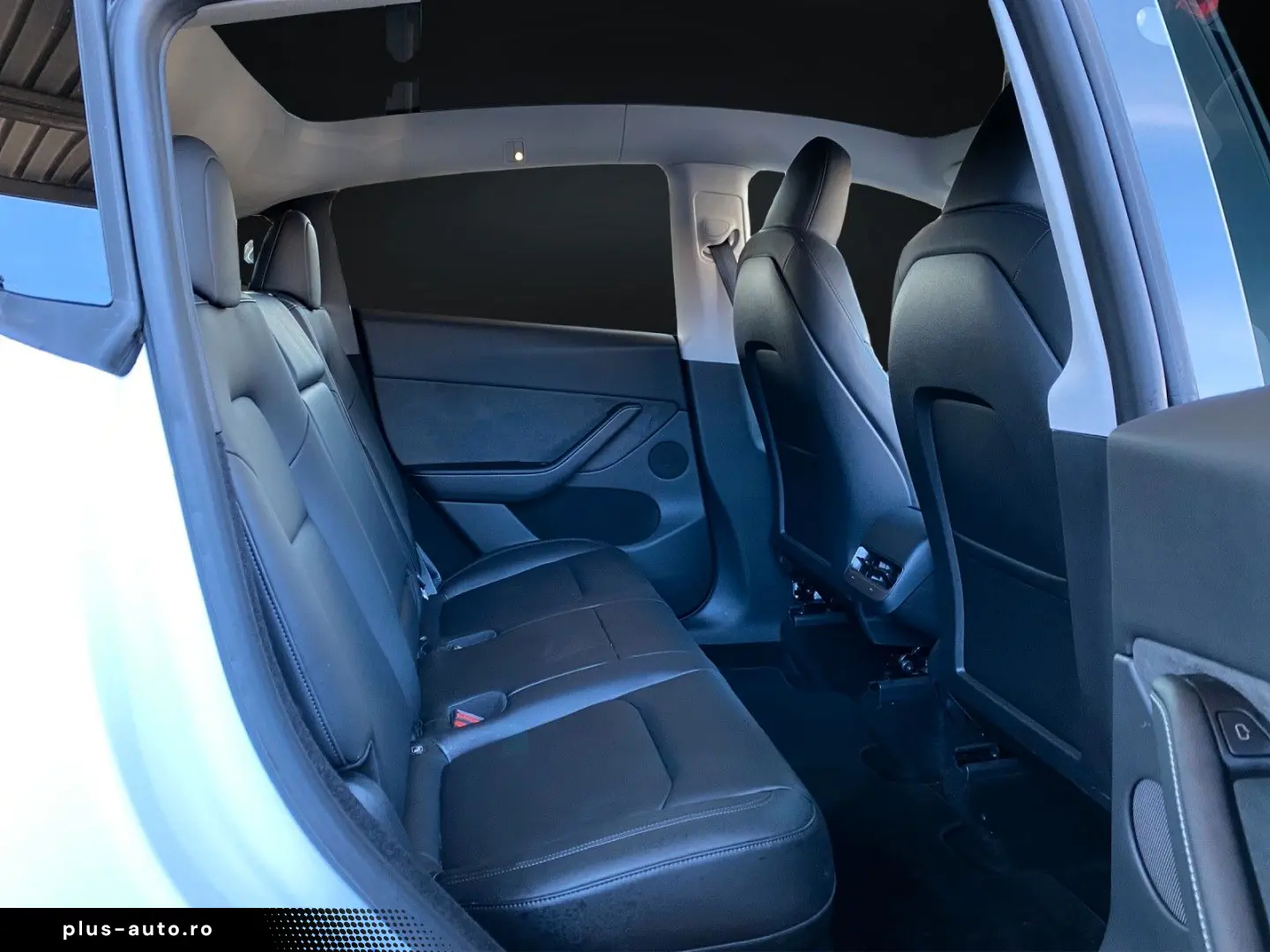 TESLA Model Y Basis RWD NAVI-360 KAMERA-PANORAMA-AHK