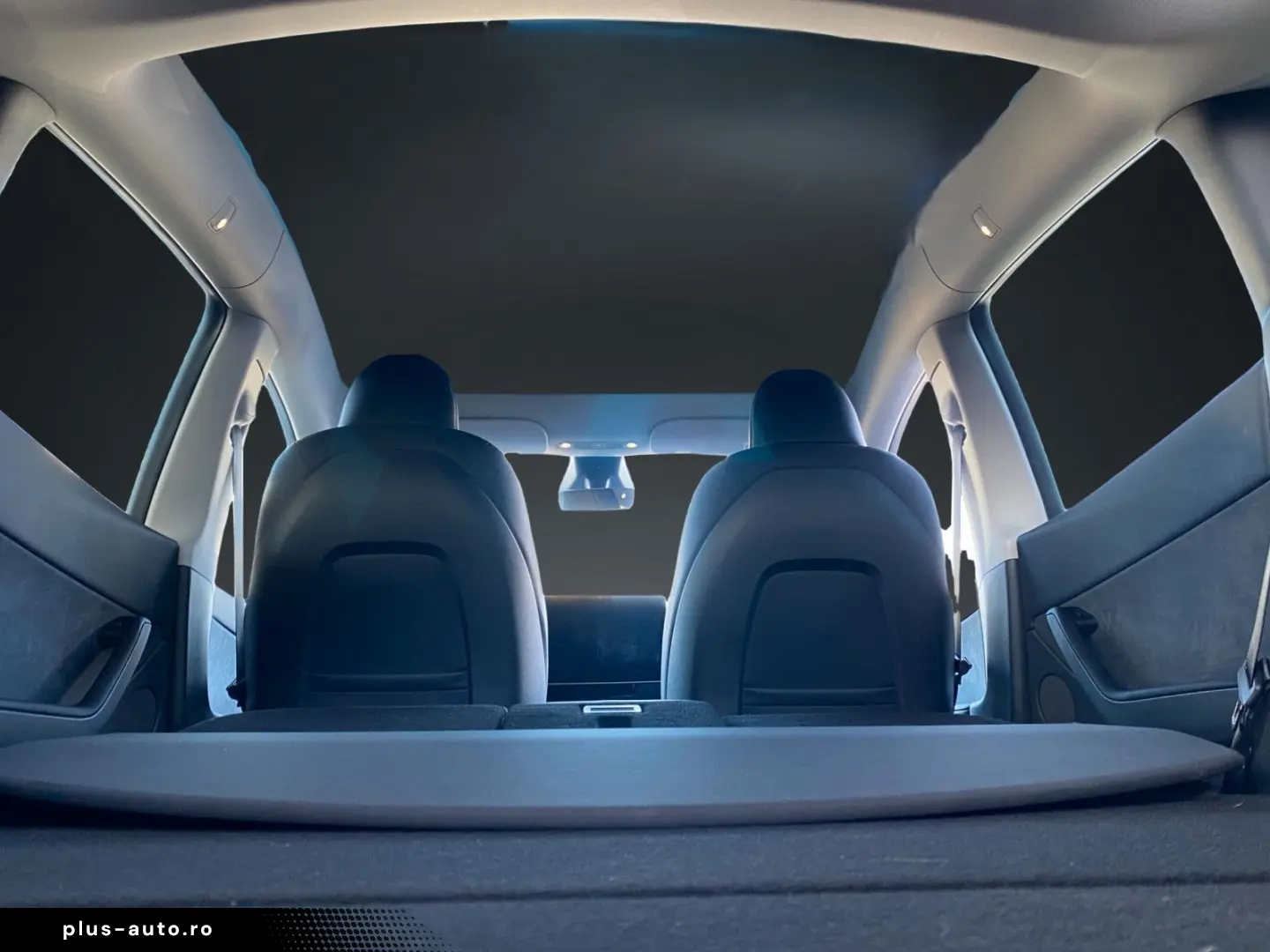 TESLA Model Y Basis RWD NAVI-360 KAMERA-PANORAMA-AHK