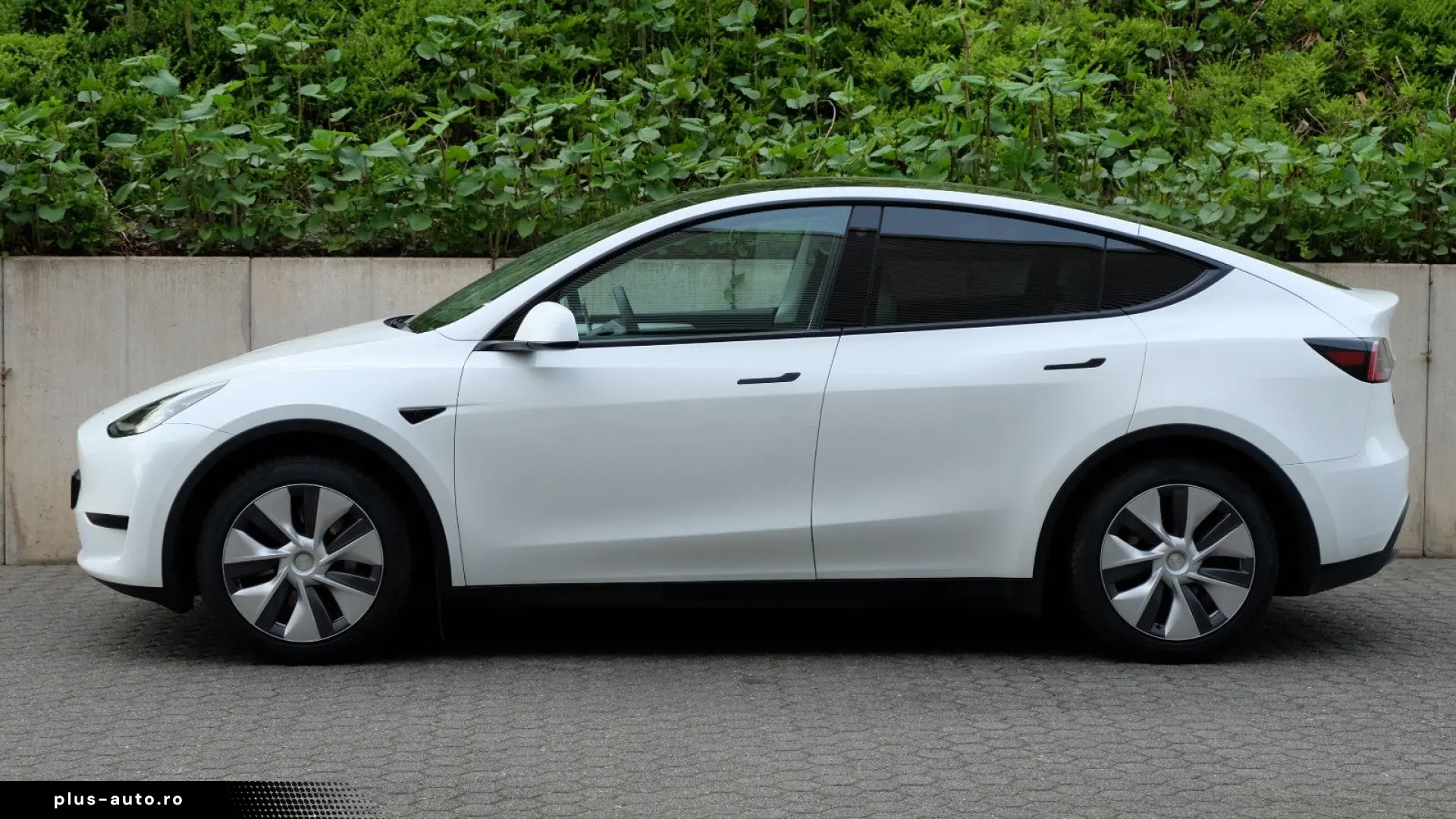 TESLA Model Y RWD  AHK  Autopilot3  Premiumsoundsystem