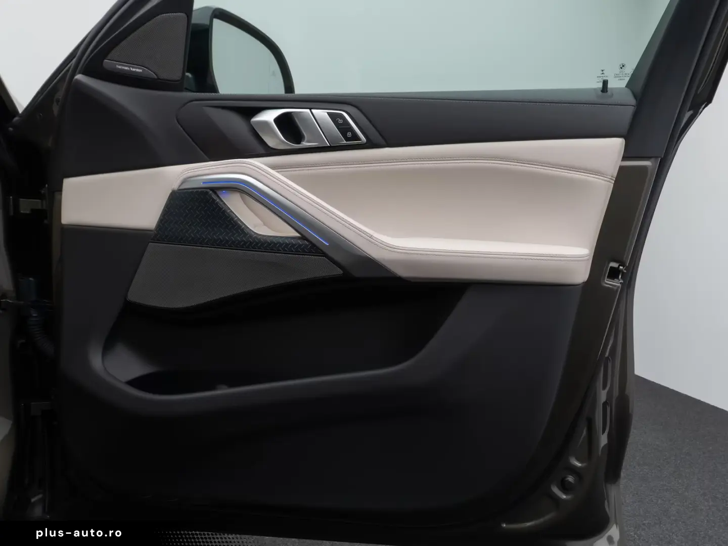 BMW X6 M50i Individual Panorama