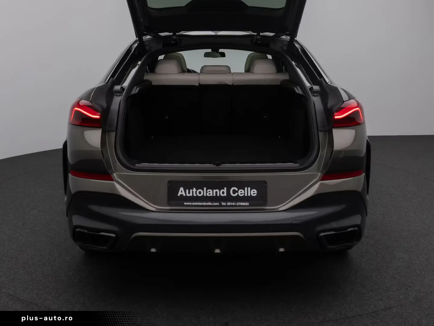 BMW X6 M50i Individual Panorama