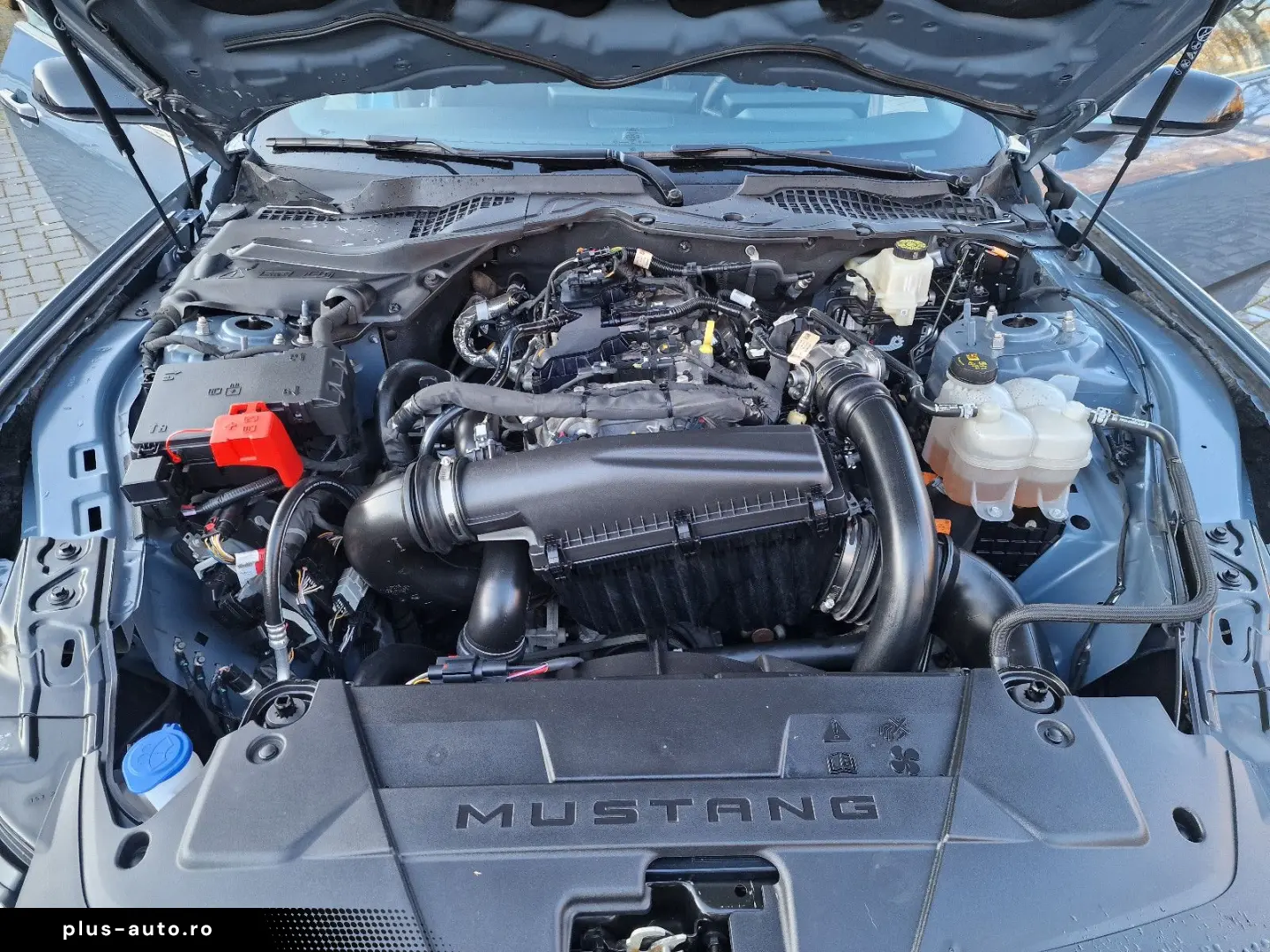 FORD 2.3 EcoBoost Coupe Neues Modell ANGEBOT!