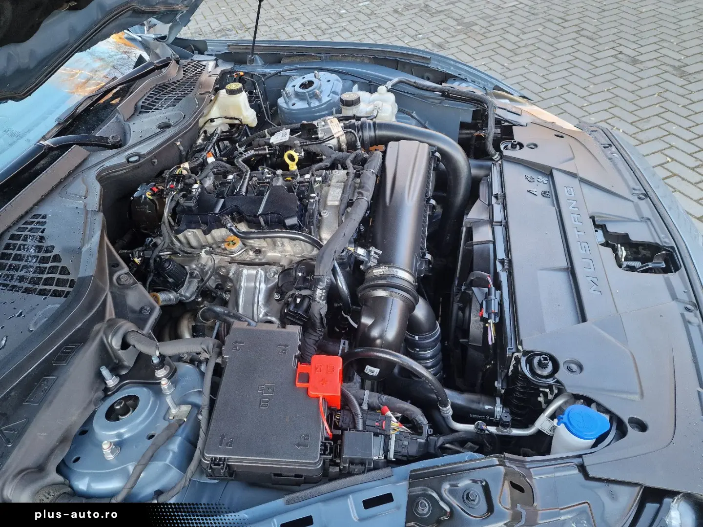 FORD 2.3 EcoBoost Coupe Neues Modell ANGEBOT!