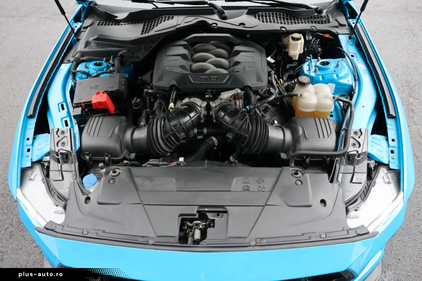 FORD Mustang 5.0 V8 NEUES MODELL SHZ SBL SPUR TTW R19