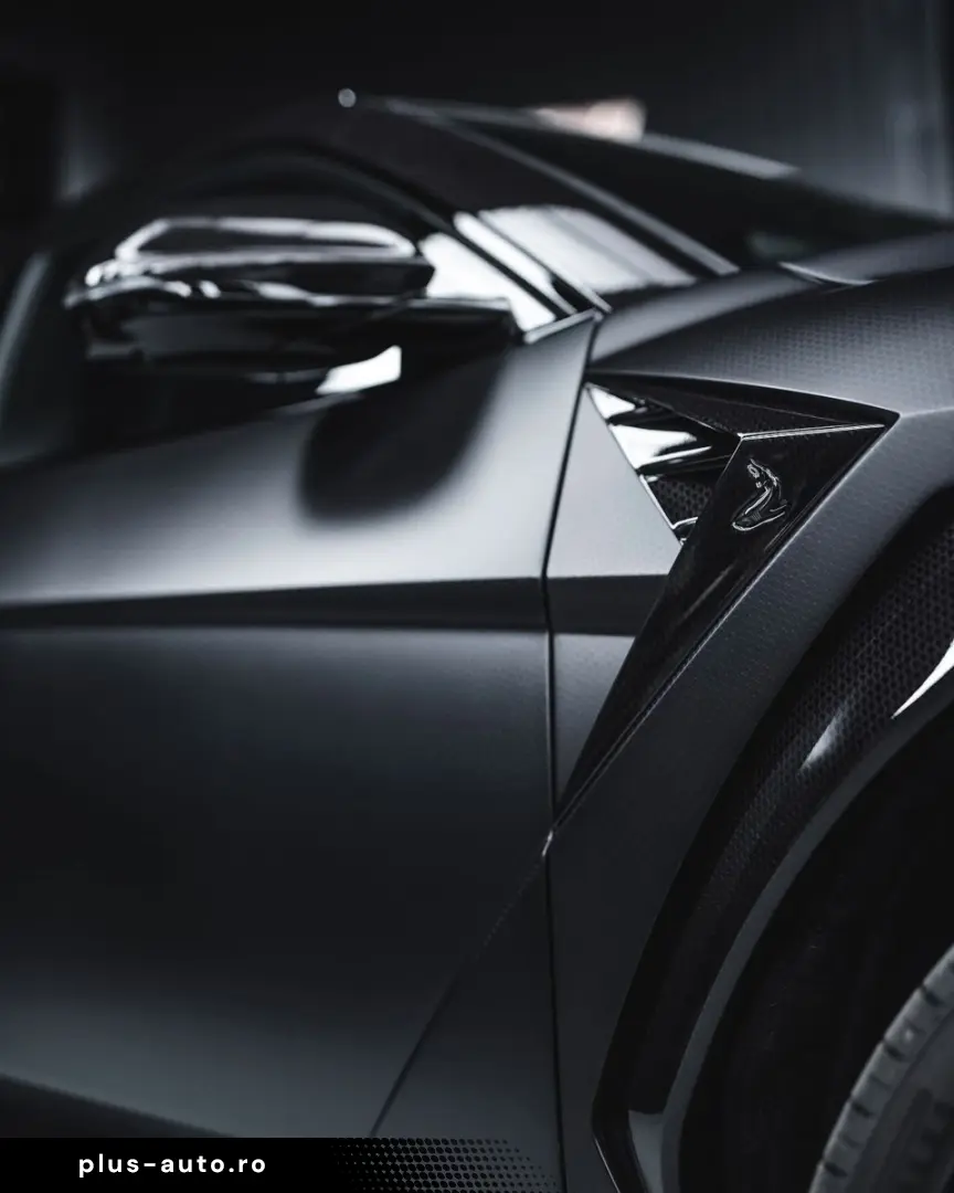 LAMBORGHINI Performante TopCar R'Evo Stealth Edition