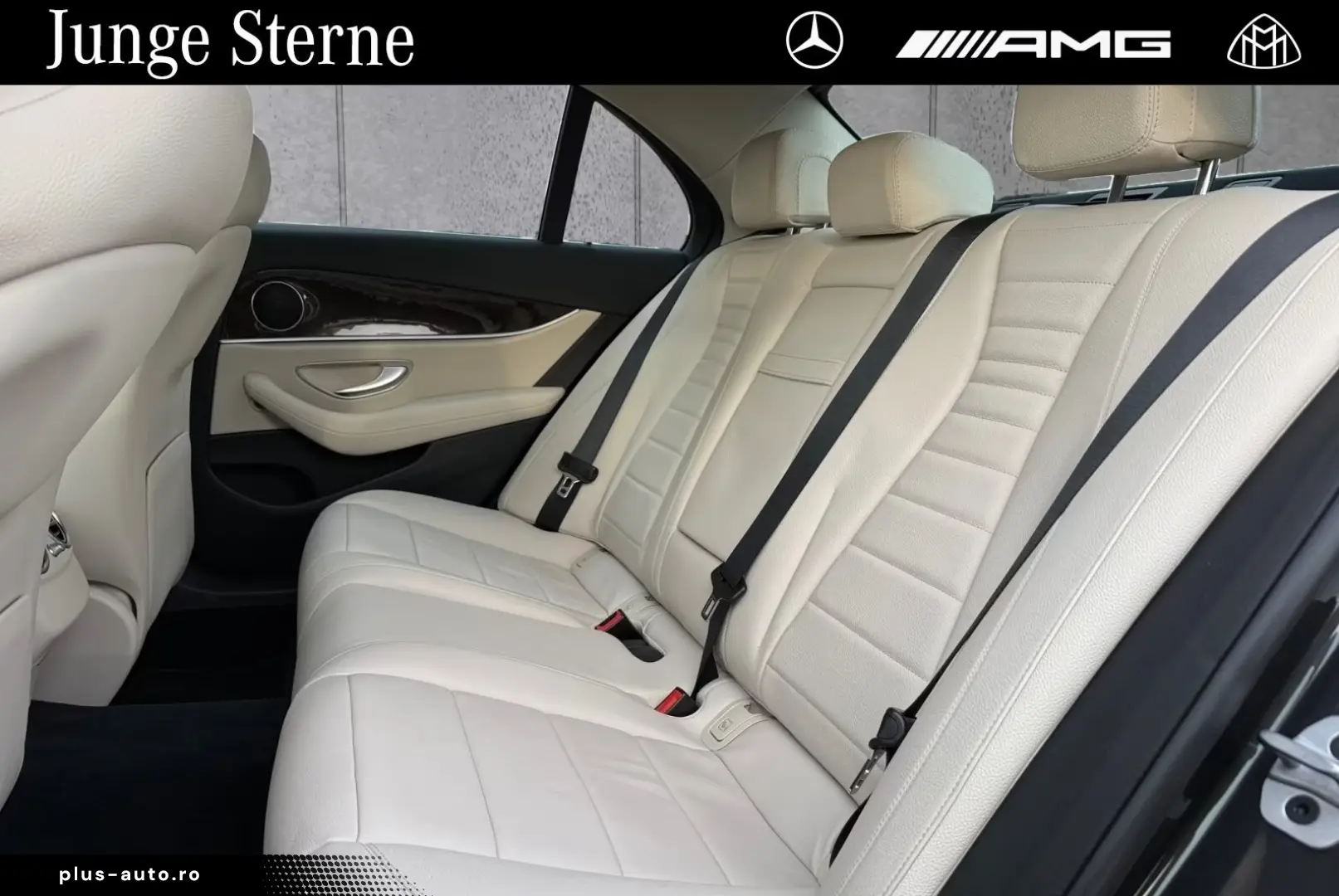 MERCEDES-BENZ E 300e Avantgarde Exclusive AHK RFK 19