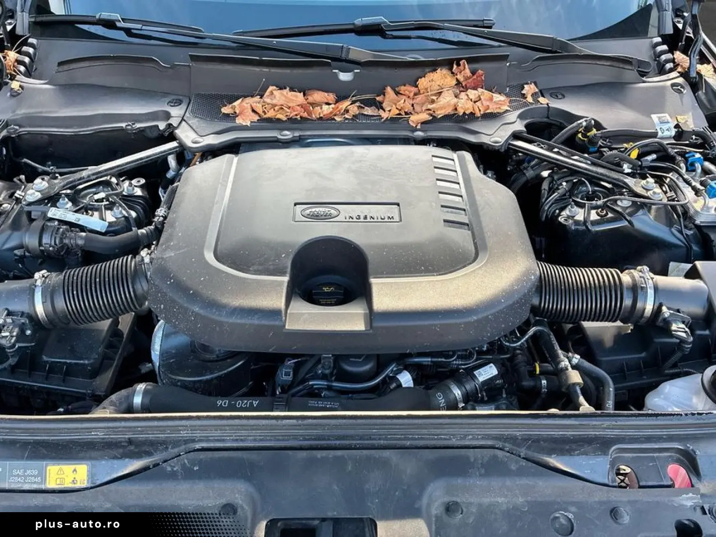 LAND ROVER Discovery D250 Dynamic SE