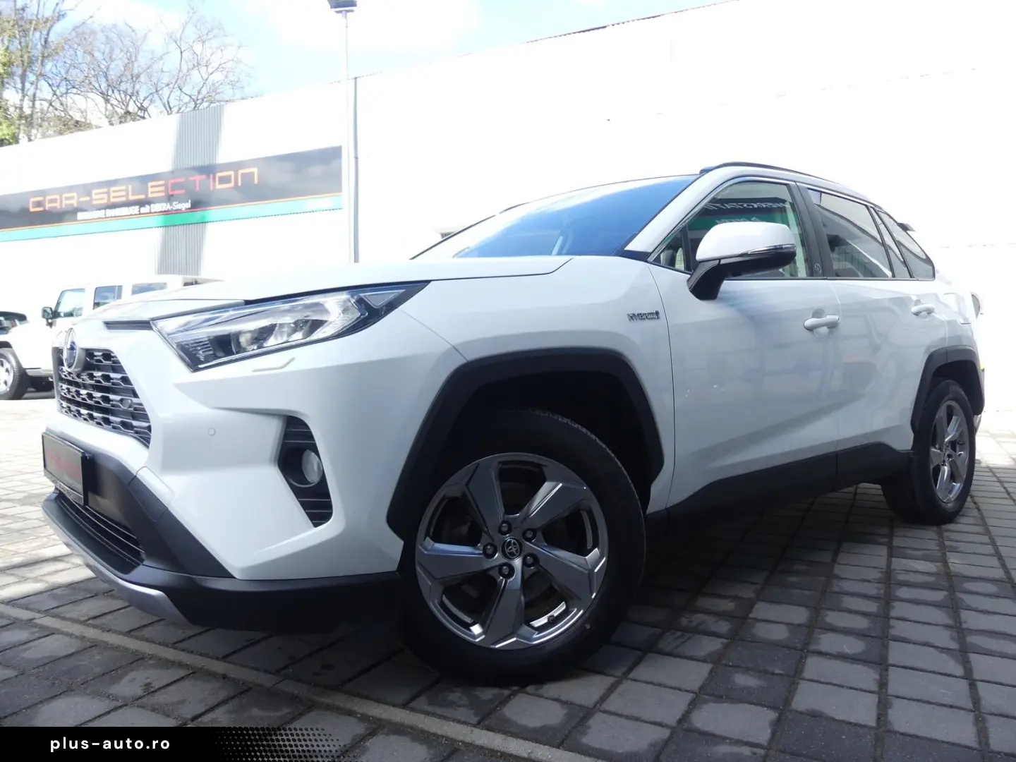 TOYOTA RAV 4 Hybrid 4x2 Team LED KAM PDC SHZ