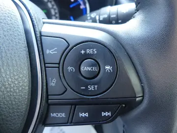 TOYOTA RAV 4 Hybrid 4x2 Team LED KAM PDC SHZ