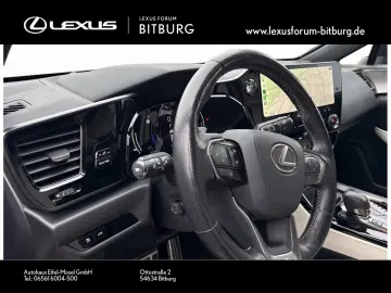 LEXUS NX 450 F Sport Bi Color Matrix 360