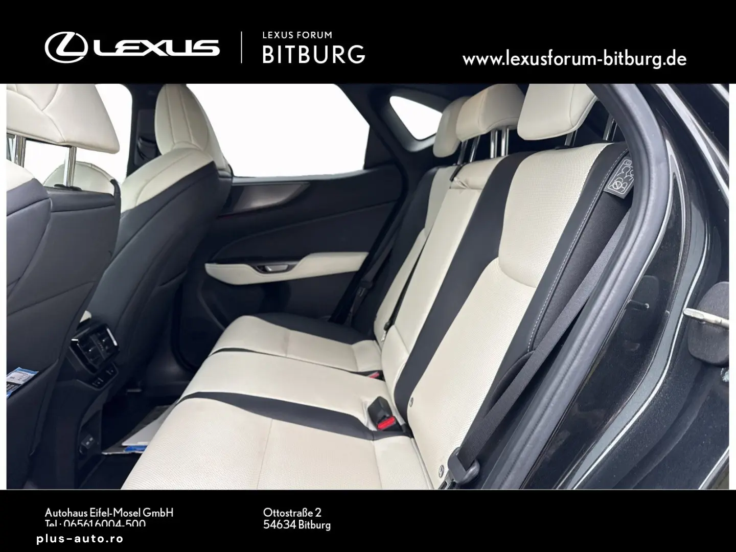 LEXUS NX 450 F Sport Bi Color Matrix 360