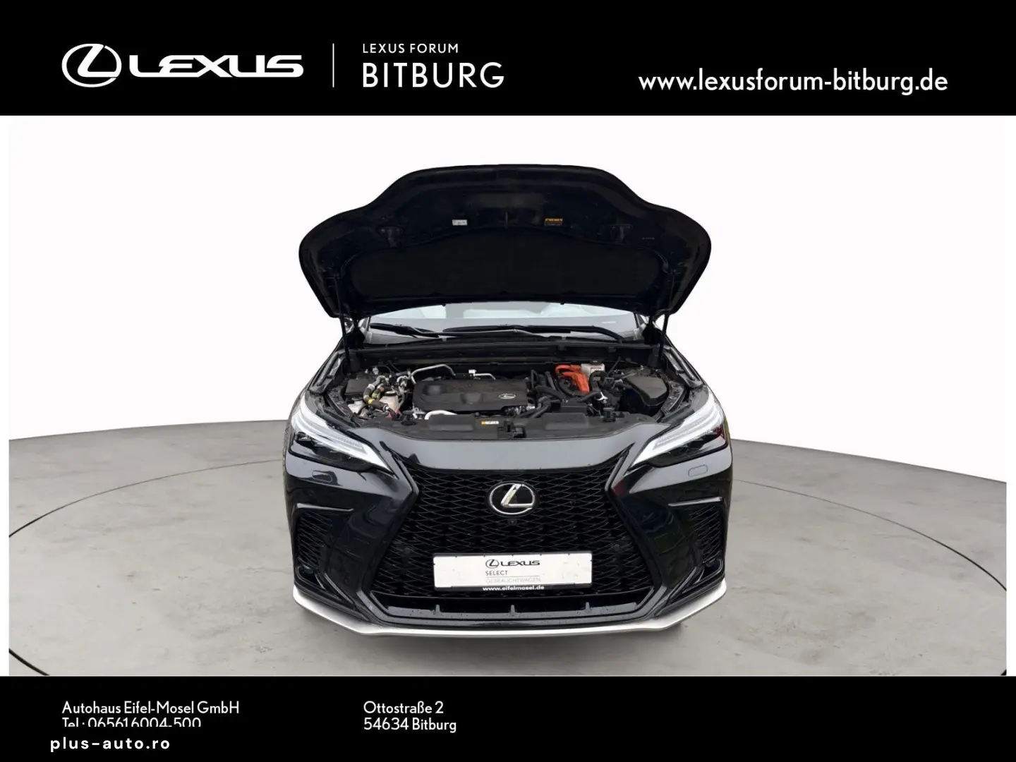 LEXUS NX 450 F Sport Bi Color Matrix 360