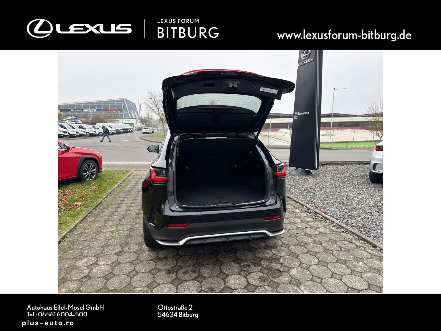 LEXUS NX 450 F Sport Bi Color Matrix 360