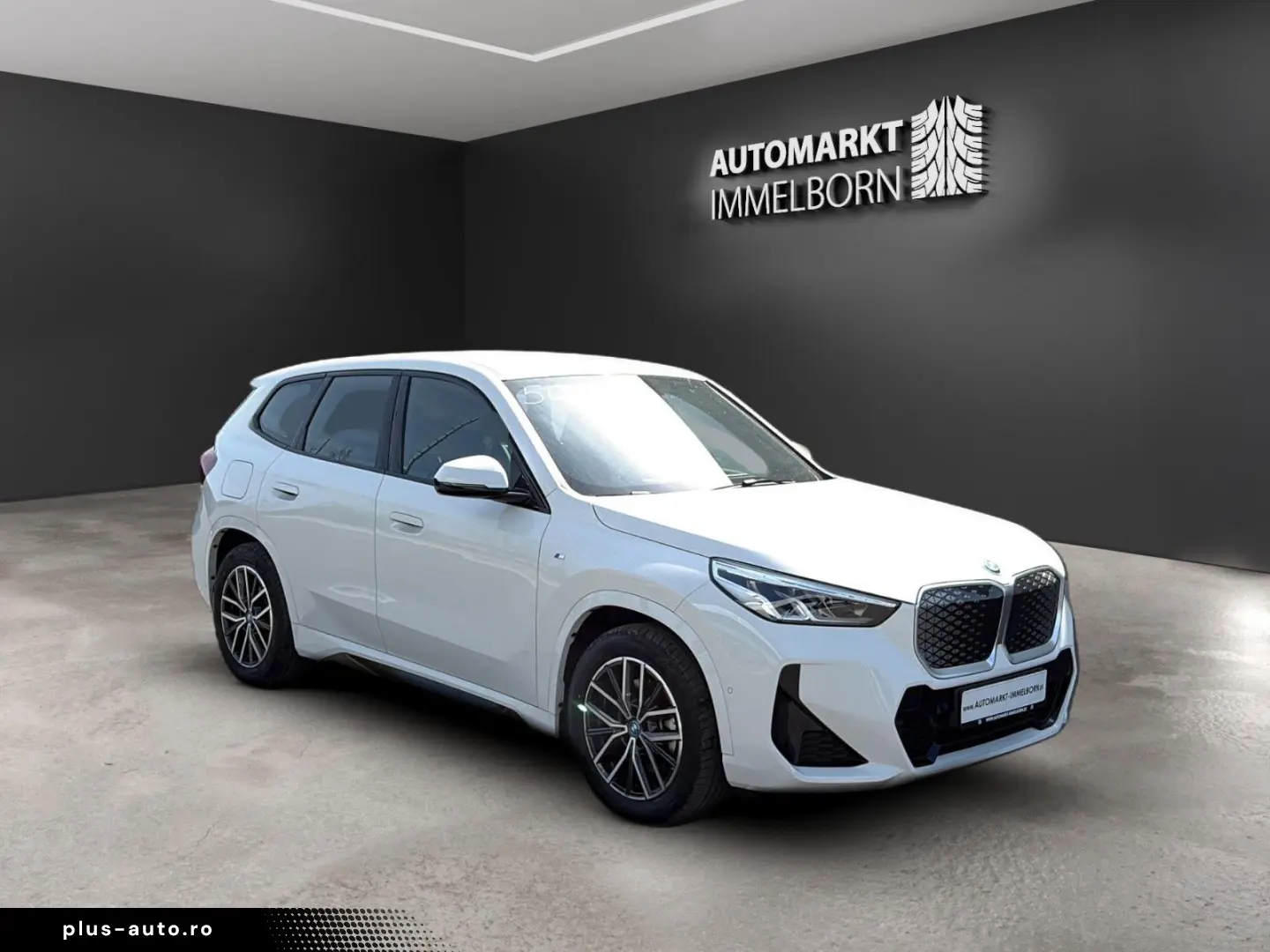 BMW iX1 30 xDrive M Sport LED Navi  Alcantara 18 DAB