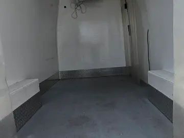 Mercedes-Benz Sprinter Frigorific Thermoking