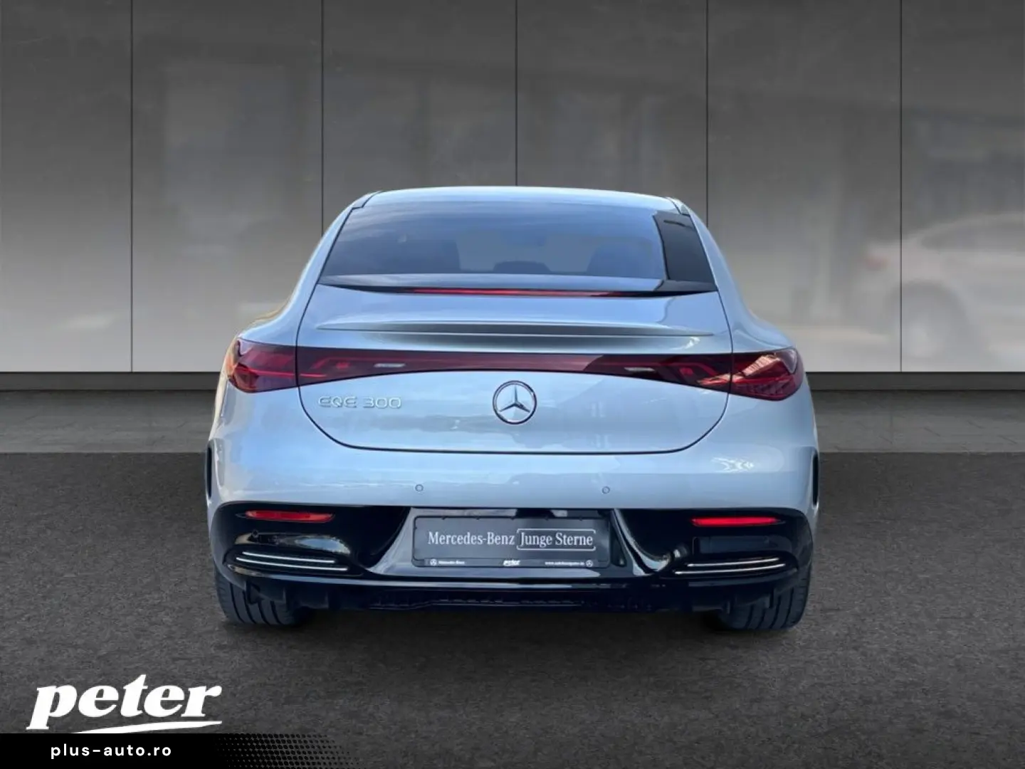 MERCEDES-BENZ EQE 300 AMG Edition Digital Hinterachsl. 360 K