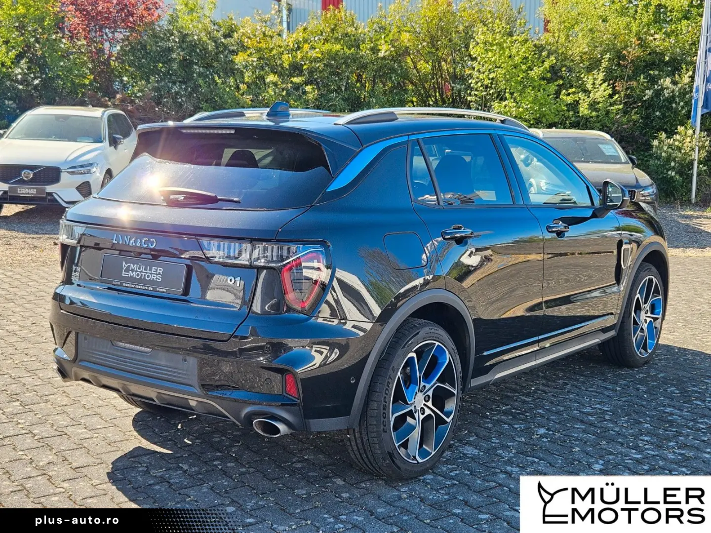 LYNC AND CO 01 Hybrid