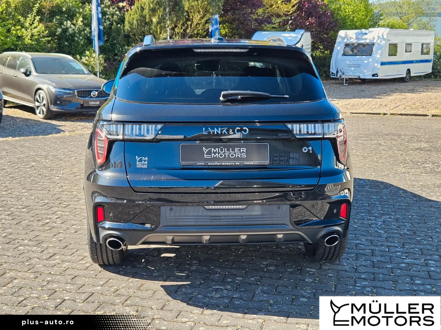 LYNC AND CO 01 Hybrid