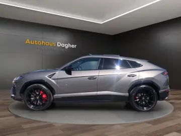 LAMBORGHINI Urus Alcantara Panorama 23 Zoll . Service NEU