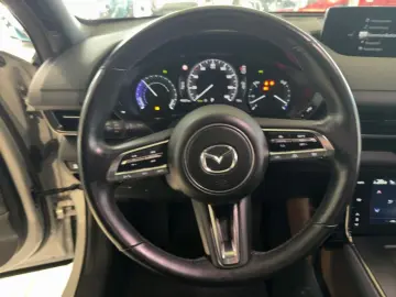 MAZDA MX-30 Basis Bose  Kamera  LED  Sitzheizung