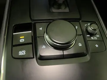 MAZDA MX-30 Basis Bose  Kamera  LED  Sitzheizung
