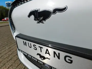 FORD MUSTANG MACH-E 360 Kamera iACC BLIS Sync4 LED